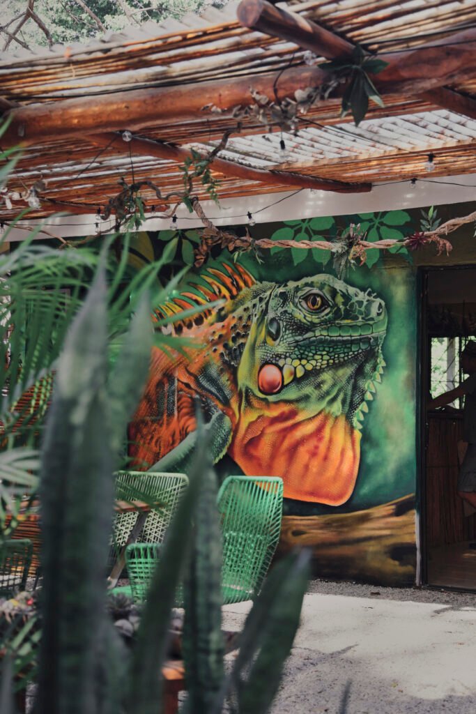 Best Restaurants for Tourists in Tamarindo